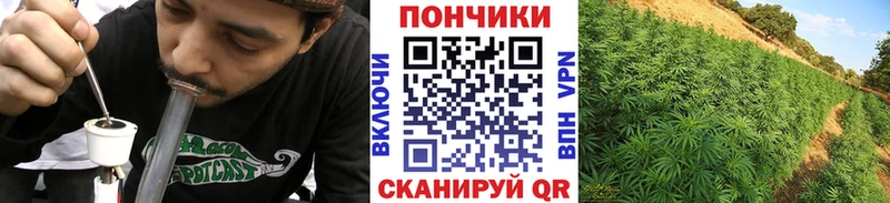 Конопля тримм что такое наркотик Малмыж